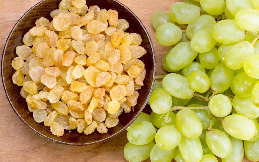 Grape, Raisin, and Currant Poisoning in Dogs