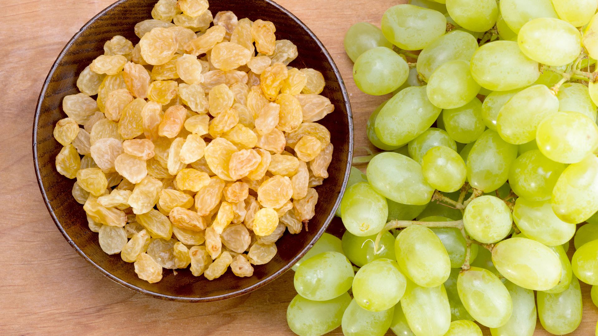 Visual Reference: Grape Raisin And Currant Poisoning In Dogs