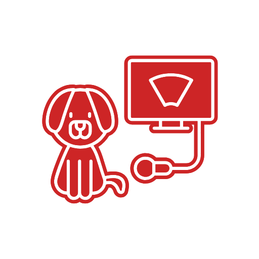Ultrasonography icon