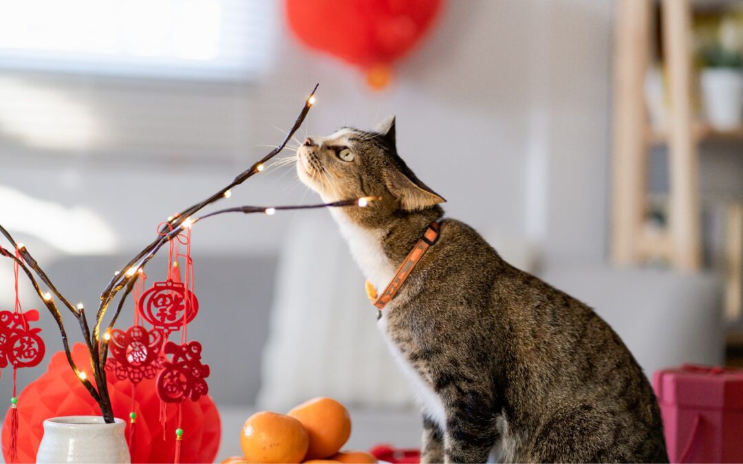 Safety Tips for your pets on New Year’s Eve