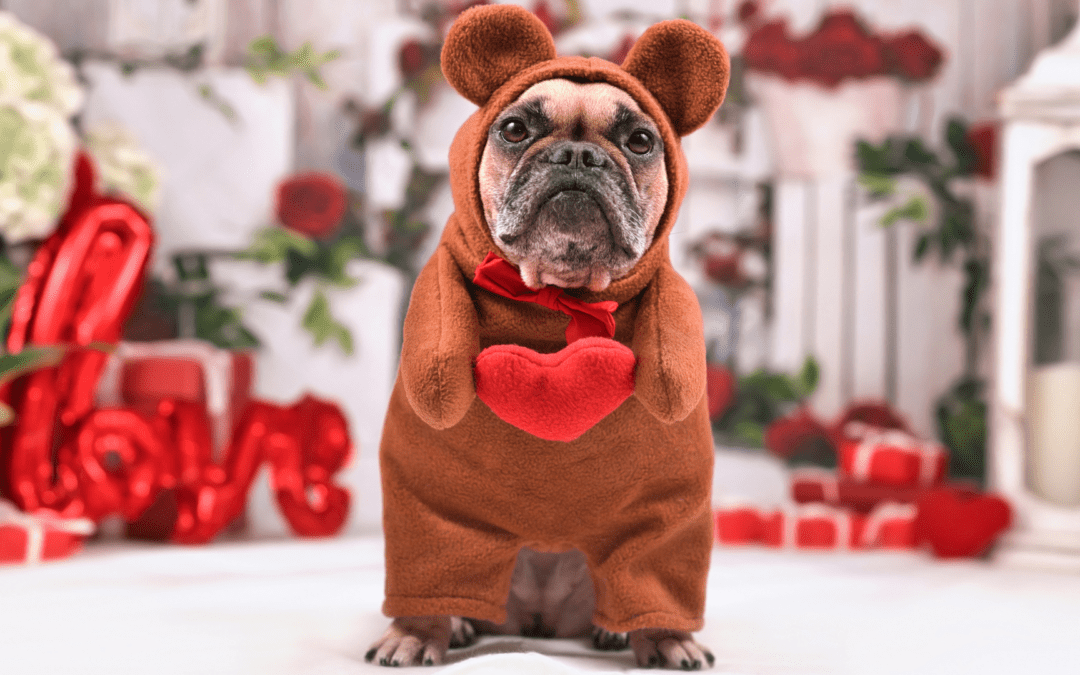 Playful dog in bear outfit, radiates joy